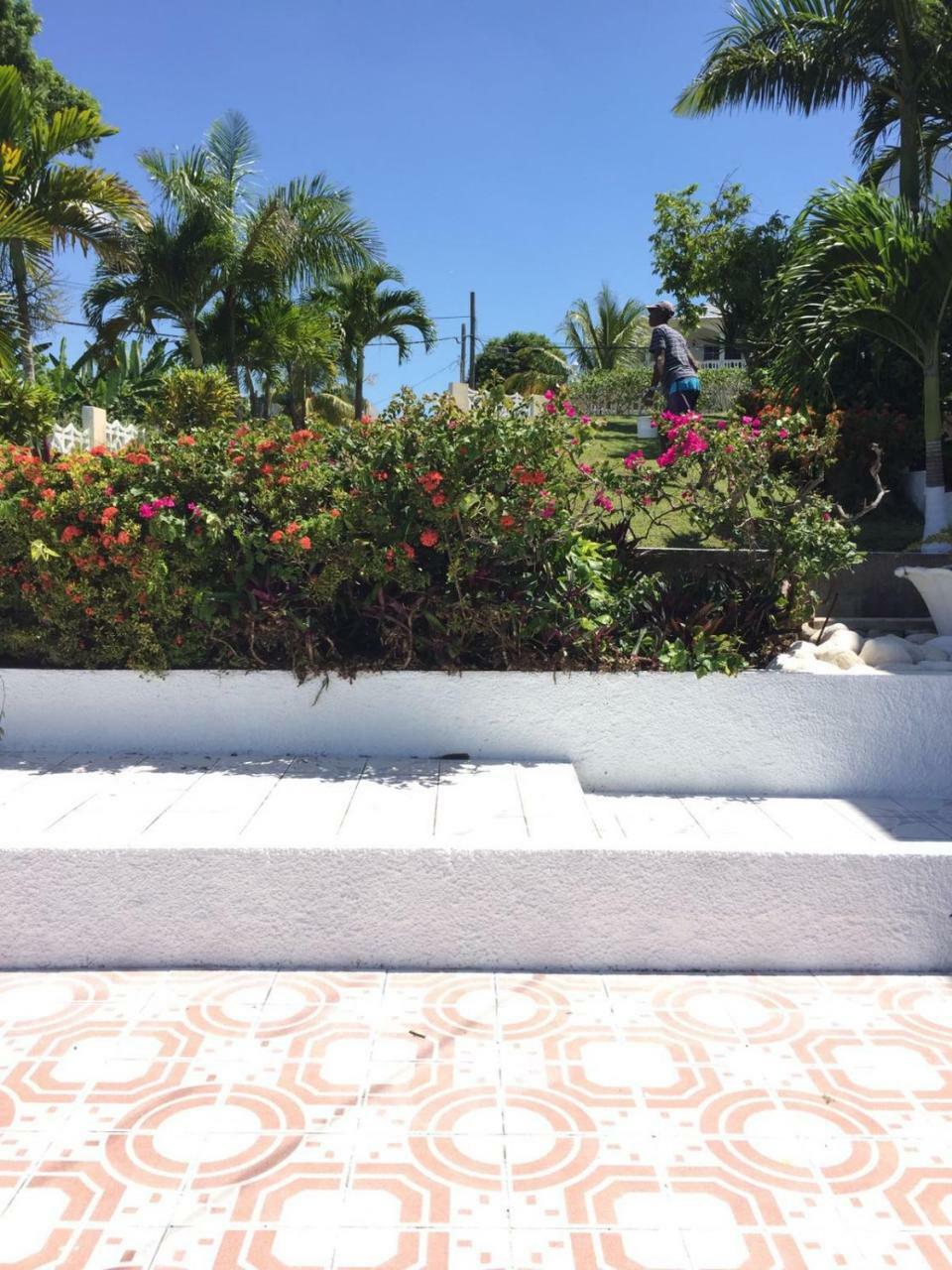 Goldenview Guesthouse Ocho Rios Exteriör bild