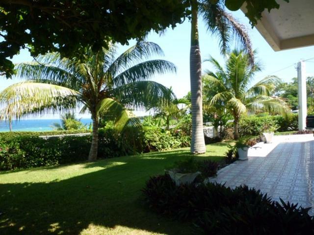 Goldenview Guesthouse Ocho Rios Exteriör bild